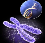 Down Sendromu Belirtileri ve Tedavisi Down Sendromu Belirtileri ve Tedavisi